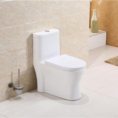 China Wholesale Modern Double-Flow Washdown Dual Flush Modern One Piece Toilet for sale