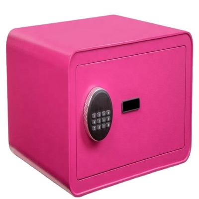 China Sell ​​Home Well Multicolor New Type Contains Emergency Key Safe Locker Hidden Safes Password Safe Box for sale