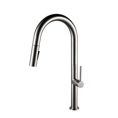 China Modern Design Satin Kitchen Sink Faucet Pull Out Faucet Faucet With Single Handle for sale