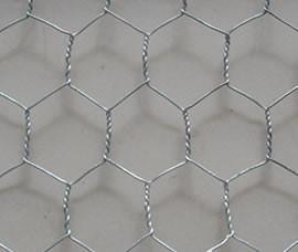 China Hexagonal Wire Netting for sale