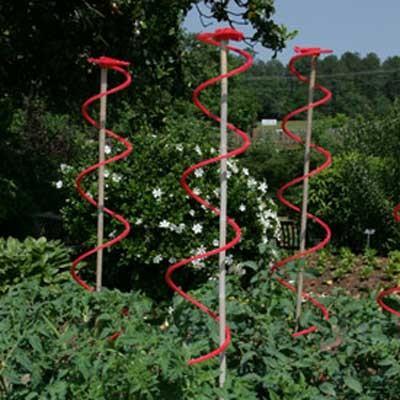 China PVC Tomato Spiral Stake for sale