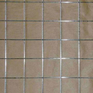 China 1/4-inch Electro-galvanized Welded Wire Mesh for sale