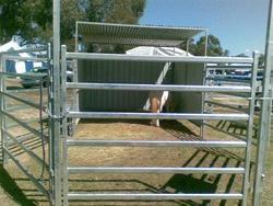 China 6 Bar Heavy Cattle Panel for sale