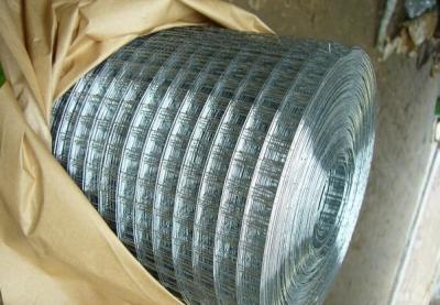 China Bright G.I. Welded Wire Mesh for sale