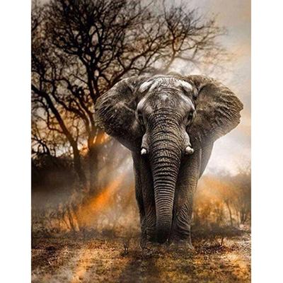 China Custom Round Wild Elephant CREATIVE Diamond Painting 30*40cm DIY 5d Drill Kits For Adults for sale