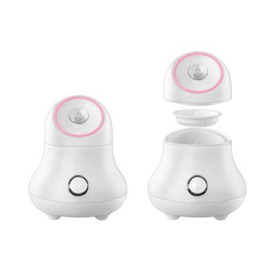 China 2021 Moisturizer New Product Launches Household Compact Facial Humidifier And Portable New for sale