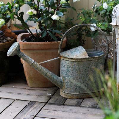 China Environmental Friendly Garden Plant Watering Can Reservoir Portable Garden Water Succulent Flower And Grass Waterer Gardening Tools Distressed Metal Gray for sale