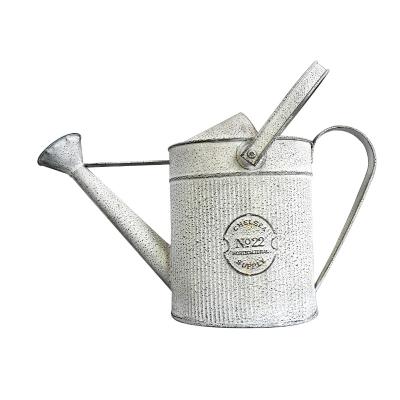 China Environmental friendly spray box, garden watering can equip bucket sprinkler garden iron watering sprinkler box, metal distressed steel designs 43*17*26cm for sale