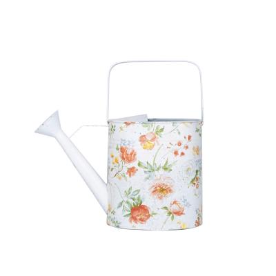 China Environmental Friendly Vintage Metal Shower Kettles Watering Can Plant With Easy Pour Tools Metal Garden Watering Supplies, Water Cans Steel Designs for sale