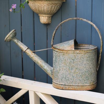 China Environmental Friendly Plant Watering Can Portable Water Tank Garden Waterer Gardening Tool Steel Designs Garden for sale