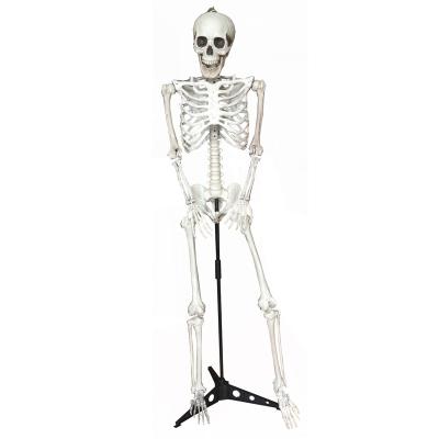 China Life Size Posable Human Skeleton Props Halloween Party Decoration Plastic Human Standing Skeleton for sale