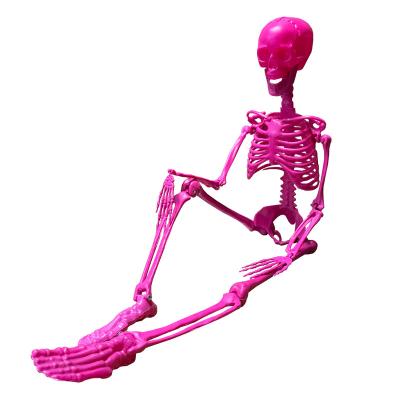 China Wholesale Posable 36inch Horror Halloween Color Animated Decorations Hanging Flexible Human Skeleton for sale