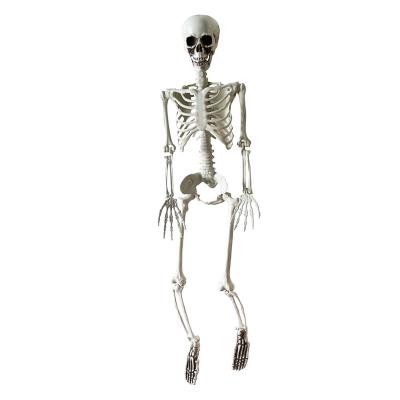 China Posable 3 Feet Posable Decoration Plastic Human Skeleton Kids Rank Halloween Decoration Props Horror Halloween Party Skeleton for sale