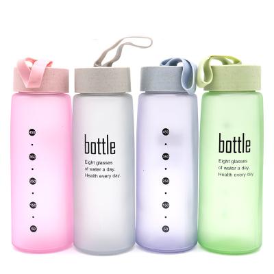 China Sustainable Promotion Glass Bottles Wholesale Frosted Glass Bottle Recycled Glass Jars And Bottles for sale