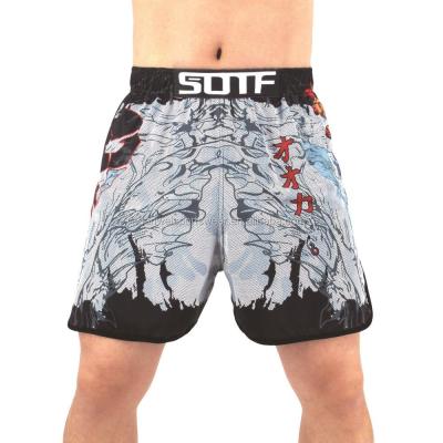 China 100% Polyester Jiu Jitsu Clothes Custom Print Muttahida Majlis-e-Amal Shorts Gym Training Shorts for sale