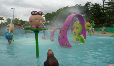 Chine Le carton de carpe badine le jet de terrain de jeu de l'eau, jeu de l'eau de terrain de jeu d'enfants/enfants à vendre