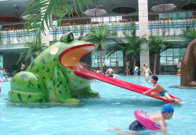 China Frog Water Slide Kids Water Playground Equipment For Swimming Pool for sale