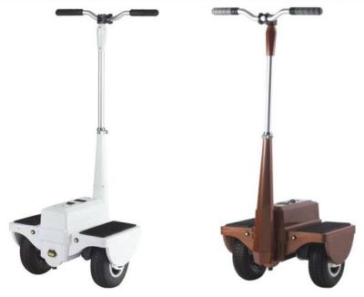 China Commercial Self Balancing Electric Off Road Segway With Brushless Motor for sale