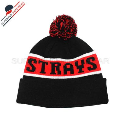 China Common Good Quality Winter Fashion Pom Pom Knitted Hat Kids Flip COMMON Hat for sale