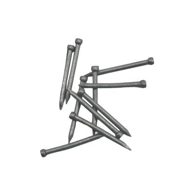 China BRAD New High Quality Material Mechanical Galvanized Iron Headless Nails Decorative Forged Nails Various Sizes for sale