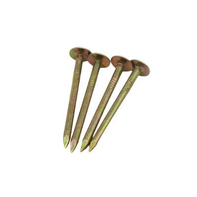 China Factory price high quality high quality electroplating colorful zinc zinc polished hardened iron wire cap nail big steel joint manufacture for sale