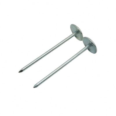 China Umbrella Head Manufacturers High Quality Cheap Price Hot Selling Durable Electro Galvanized Corrugated Umbrella Nails for sale