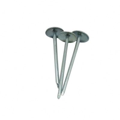 China Umbrella Head Manufacturers High Quality Cheap Price Hot Selling Durable Electro Galvanized Corrugated Umbrella Nails for sale