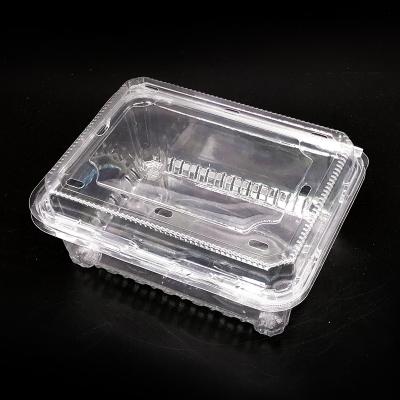 China Disposable Vegetable Clear Clamshell Fruit Packaging Box Disposable Plastic Box Pet Fresh Packing Box for sale