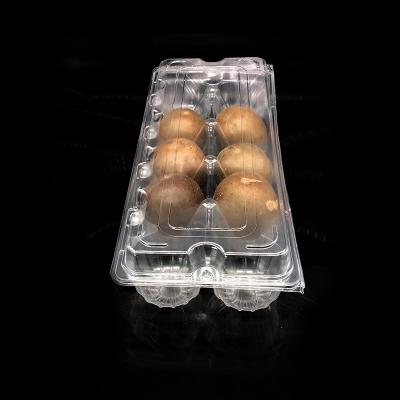 China Wholesale Disposable Plastic Fruit Box Clear Clamshell 10pcs Kiwi Fruit Packaging Box for sale