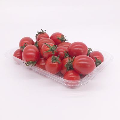 China Disposable Plastic Fruit and Vegetable Tray Fruit Blister PET Packing Tray for sale