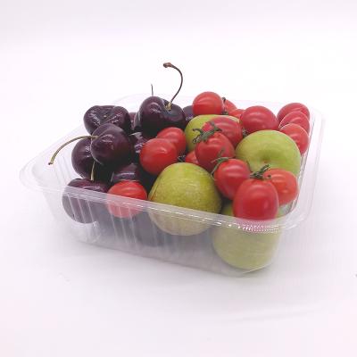 China Factory Supply Disposable PET Plastic Tray Of Vegetable Disposable Blister Fruit Plastic Tray for sale