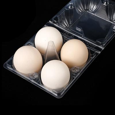 China Food Customized Clear Plastic 4 Hole Clamshell Blister Chicken Egg Packaging Tray for sale