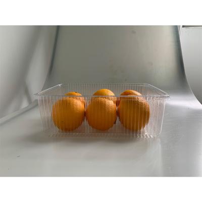 China Who respects the environment; disposable ; With Lid Stain Supply Food Grade Fruit Cookies Plastic Transparent Packaging Box for sale