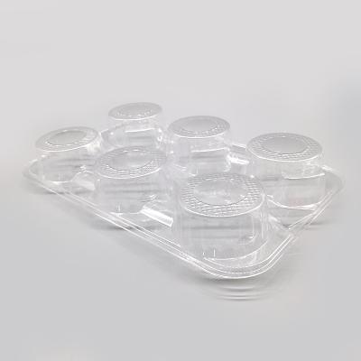 China Who respects the environment; Wholesale Disposable PET 6 Holes Take Away Disposable Tea Coffee Plastic Cup Holder for sale