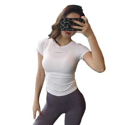 China Breathable Custom Sexy Slim Top Tights Women Simple Yoga T-Shirts Sports Shorts Fitness Superdry T-shirt Nylon Yoga Wear for sale