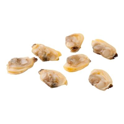 China Good Quality FROZEN Frozen Clam Meat With Low Price For Market for sale