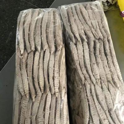 China China seafood supplier FROZEN purse seine precooked frigate mackerel loins for sale