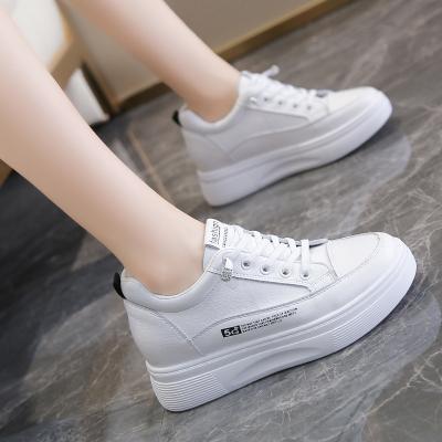 China Street Fashion Breathable Trend Sneakers Classic Explosive Panel Wild Shoes For Women for sale