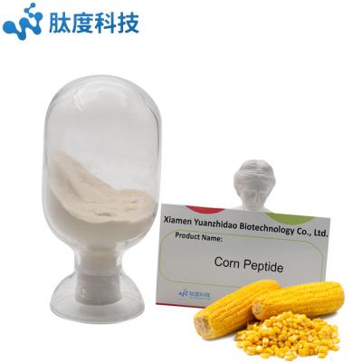 China Beverage Factory Supply Corn Extract Peptide Powder Corn Protein Peptide For Energy Boost for sale