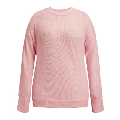 China Breathable Amazon Europe And The United States Fashion Women'S Pure Color Tortoise Classic Sweater Long Sleeve Loose Top for sale