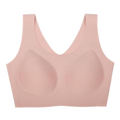 China Women's QUICK DRY Hot Breathable Ladies Underwear Wireless Seamless Bra for sale