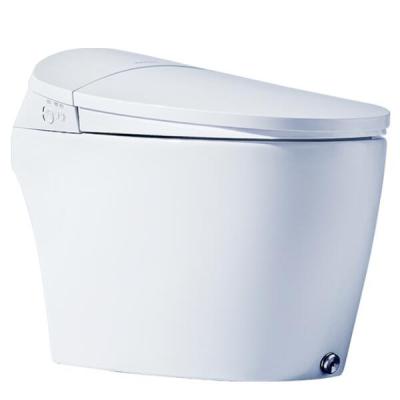 China Automatic Operation Smart Automatic Bidet Smart Toilet Cover Ground Mounted for sale