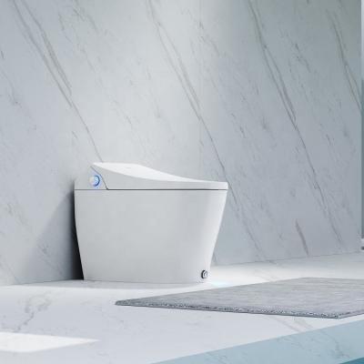 China Wholesale Automatic Operation 07P Intelligent Automatic Toilet Bathroom One Piece Bidet Bidet for sale