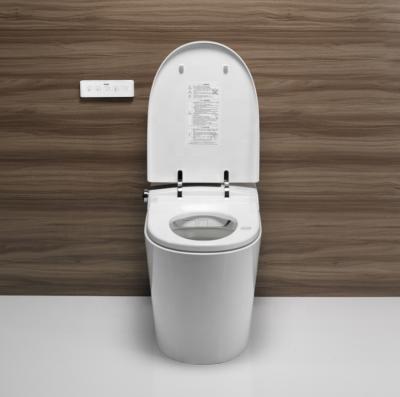 China High-end Intelligent Toilet Sanitary Ware Electric Bidet Toilet China Automatic Operation DA90 Intelligence Seat Soft Narrow Lid for sale