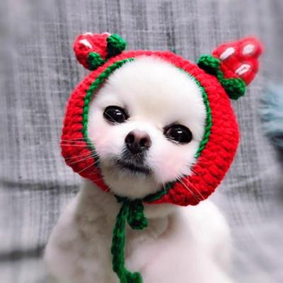 China Stocked Christmas Pet Knit New Arrival Dog Party Birthday Accessory Hat for sale