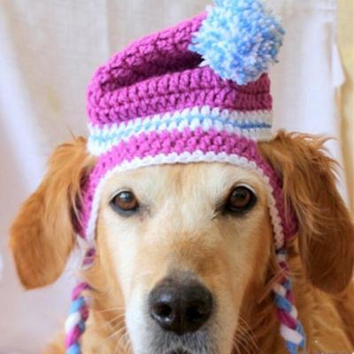 China Wholesale Cute Acrylic Stocked Knit Matching Dog Hat Designed Dog Hats for sale