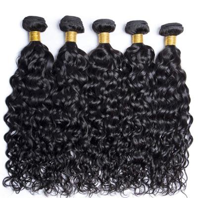 China Uniky Straight Brazilian Cuticle Aligned Water Wave Hair Bundles With Closure for sale