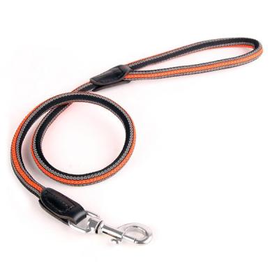 China Thoughtful Durable Skid Proof Dog Leash for sale