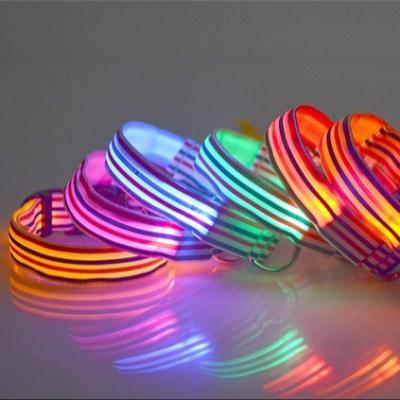 China Sustainable stripe led dog collars and leashes for sale