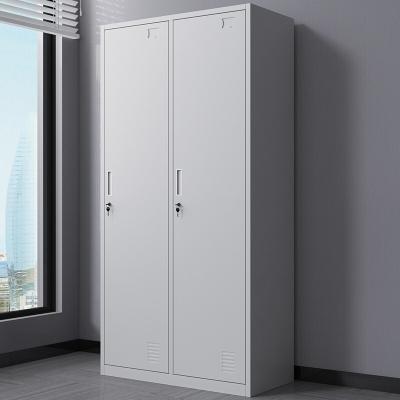 China Durable 2 Door Locker Luggage Storage Adjustable Steel Wardrobe Cabinet Flat Pack (Size) for sale